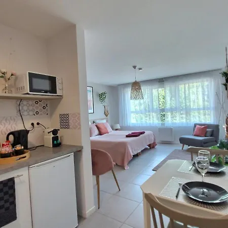 L'Amazonie - Roissy Cdg - Parc Asterix - Paris Apartment Moussy-le-Neuf Exterior photo